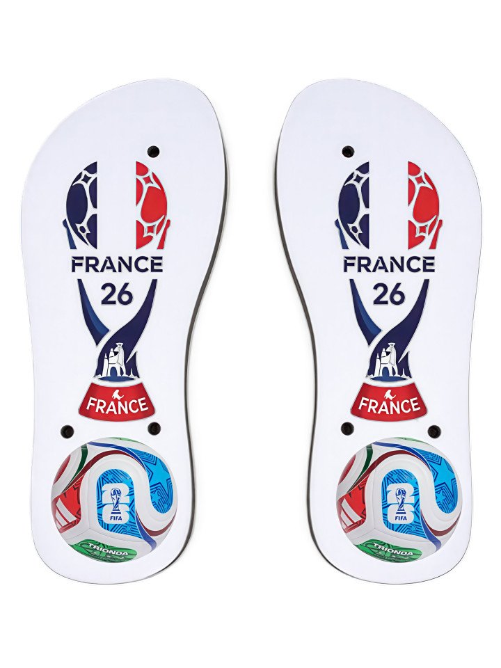 fifa world cup 2026 france